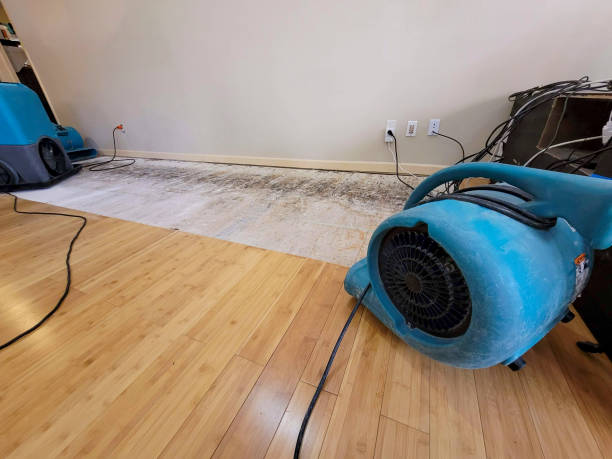 Professional Burst Pipe Water Damage technician working in Crab Orchard, TN